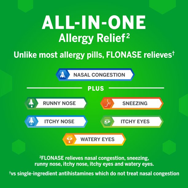 Flonaise Allergy Reliief Nasal Spray, 24 Hour Non Drowsy Allergy Medicine - 144 Sprays (Pack of 2)