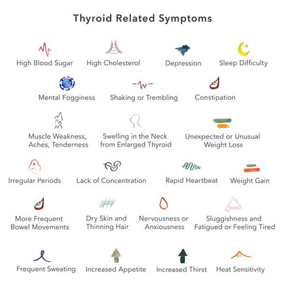 EverlyWell Thyroid Test