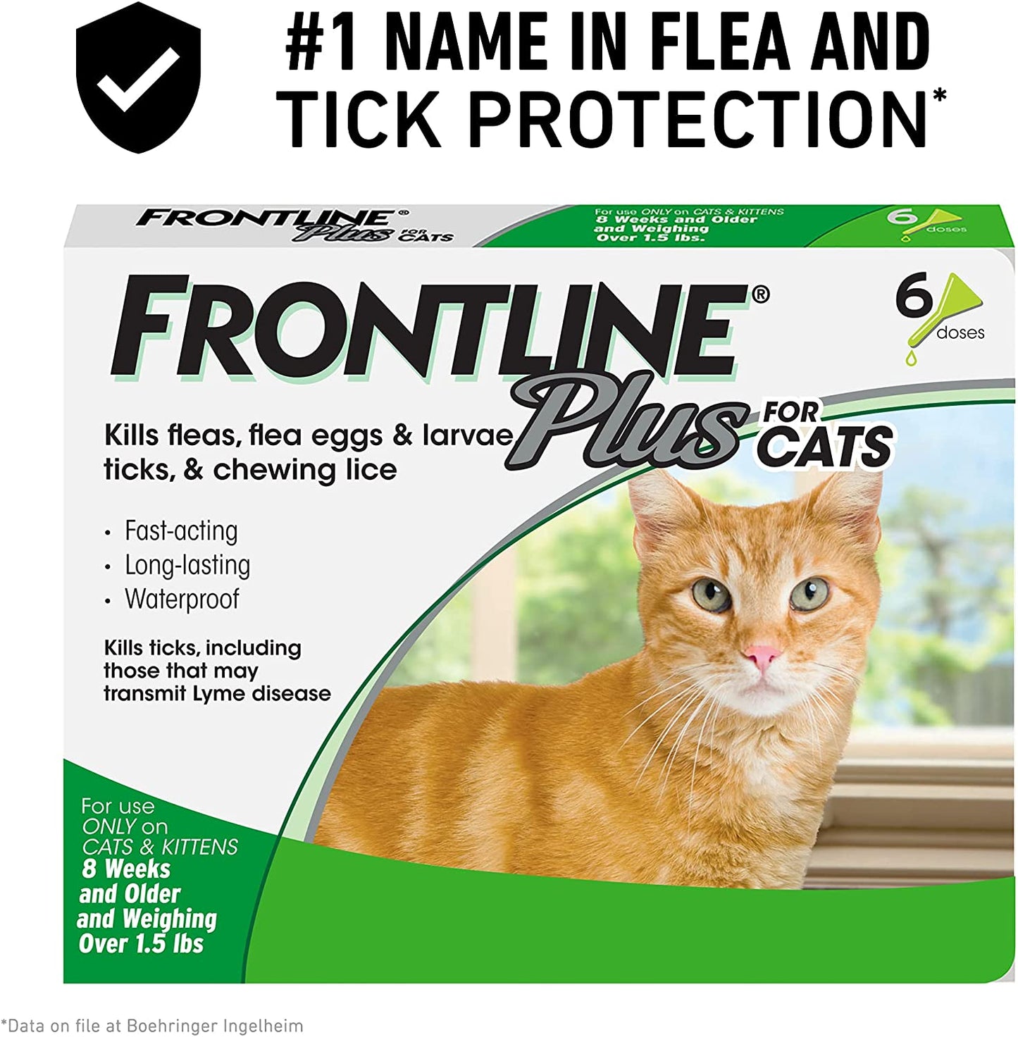 Frontlinee Plus for Cats 8 Weeks and Older and Weighing 1.5 Lbs or More, 6 doses